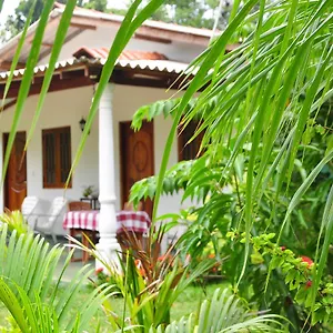 https://sigiriya-amenity-home-stay.kandyhotelsnow.com